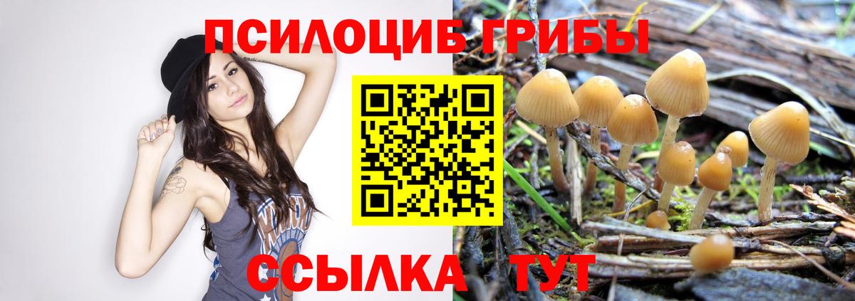 Псилоцибиновые грибы MAGIC MUSHROOMS  Галлюциногенные грибы Psilocybine cubensis  Вход с VPN  Губкинский 